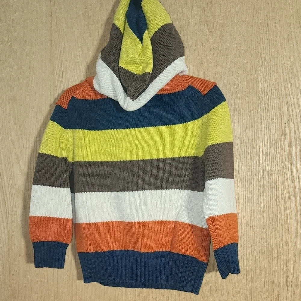OshKosh B'gosh Multicolor Striped Hoodie